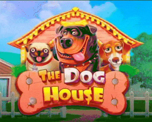 Play The Dog House in Casinopatrickspins